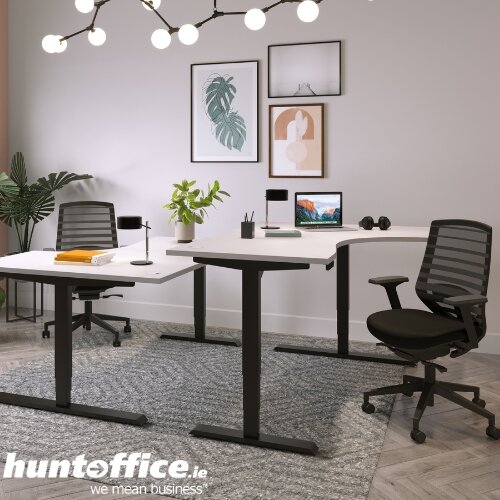 X.77 mesh ergonomic chair paired with height-adjustable sit-stand desks in modern office setting