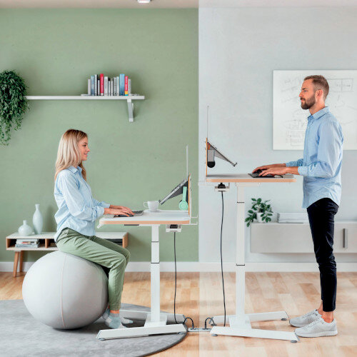 Home Office Setting - Highest & Lowest Settings - Leitz Ergo Small Electric Sit Stand Desk with Stand-Up Reminder