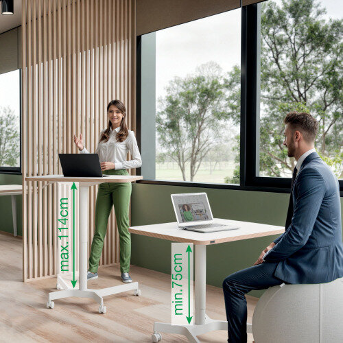 Multiple Leitz Ergo Small Manual Height Adjustable Sit Stand Desks in Office Setting