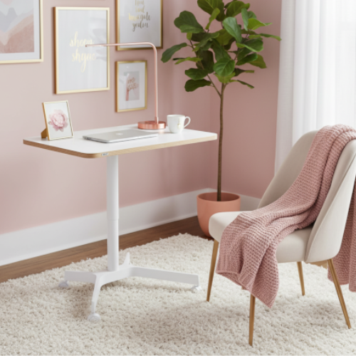 Cozy Home Office Setting - Leitz Ergo Small Manual Height Adjustable Sit Stand Desk