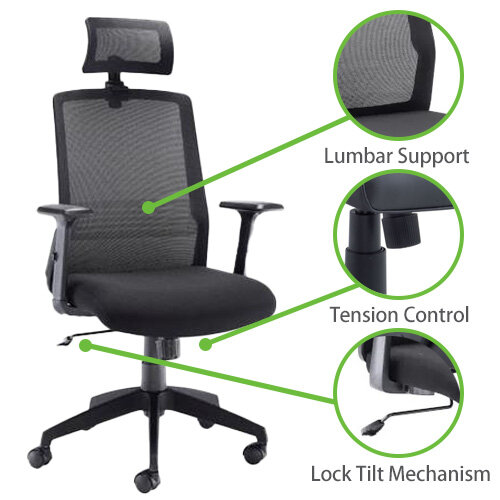 Denali High-Back Ergonomic Office Posture Chair - Black Mesh - Lumbar Support - Headrest - Highlighted Features