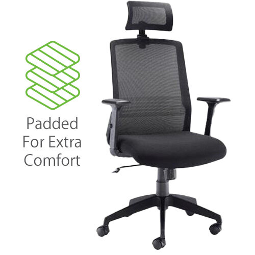 Denali High-Back Ergonomic Office Posture Chair - Black Mesh - Lumbar Support - Headrest - Padded for Extra Comfort