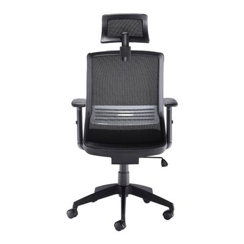 Back  view Denali High-Back Ergonomic Office Posture Chair - Black Mesh - Lumbar Support - Headrest