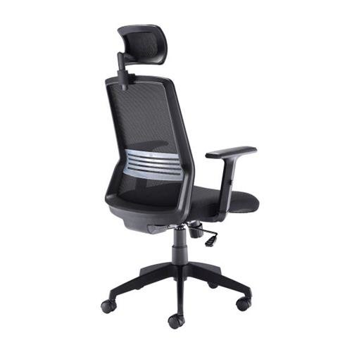 Angled back view Denali High-Back Ergonomic Office Posture Chair - Black Mesh - Lumbar Support - Headrest