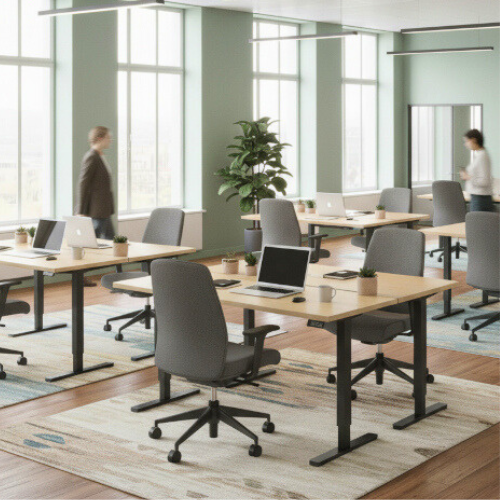 Core Hieght Adjsuabel Desk canadian oka top and black frame in a modern open plan office