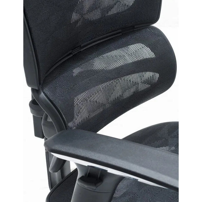 Dorsum Executive Ergonomic Mesh Posture Office Chair - Adjustable Headrest - Adjustable Lumbar Support -  Modern Design - Black - 3D Adjustable Armrest