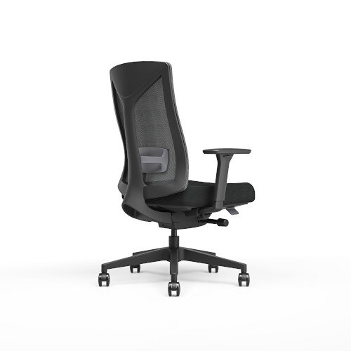Angled Back View Ergonomic office chair with black mesh backrest, black frame, 3D Armrests and cushioned seat.