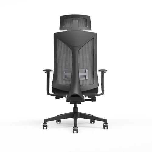 Back View Ergonomic office chair with black mesh backrest and headrest, black frame and cushioned seat.