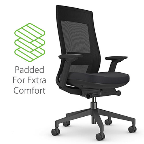 X22 Ergonomic Posture Office Chair with Mesh Back - Adjustable Lumbar Support - Seat Slide - Black - Padded for Extra Comfort