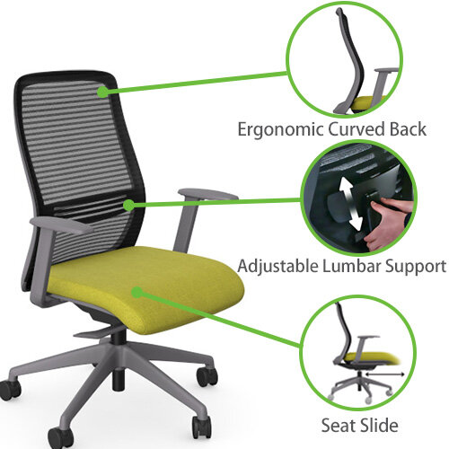 NV Ergonomic Posture Office Chair - Contoured Mesh Back - Adjustable Lumbar Support - Grey Frame - Green Seat - Highlighted Features