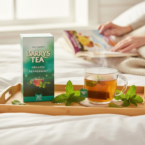 Barry\'s Organic Peppermint Tea - String/Tag/Envelope Pack of 20