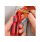 Knipex ErgoStrip cable stripper Blue, Red