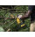 DCMPS520P1 XR Pruning Saw 18V 1 x 5.0Ah Li-ion