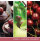 Yankee Candle Signature Medium Jar 368g Black Cherry (Pack of 4) 1701391E