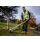 DCMST561N XR Brushless String Trimmer 18V Bare Unit