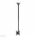 Neomounts CL35-340BL12 Monitor/TV mount ceiling 23-42" - h 106-156 cm