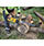 DEWALT DCMCS575N XR FlexVolt Chainsaw 50cm Bar 54V Bare Unit Additional Image 5
