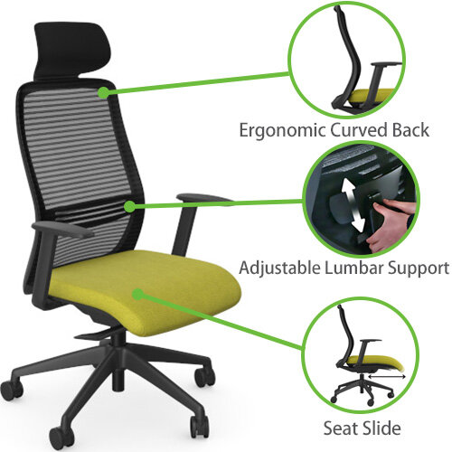 NV Ergonomic Posture Office Chair  - Contoured Breathable Mesh Back  - Headrest  - Adjustable Lumbar Support  - Black Frame - Green Seat
