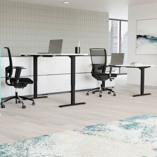 Zoom Electric Dual Motor Height Adjustable Sit Stand Office Desk Portal Top W1600xD800xH685-1185mm White Top Black Frame 10 Year Warranty