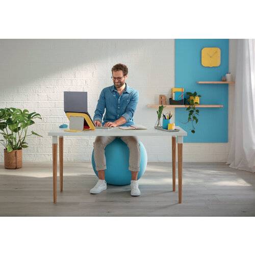 Leitz Ergo Active Sitting Ball With Stopper Function, Ergonomically Designed Desk Chair Alternative, 55cm Diameter, Includes Fabric Ball Cover, Hand