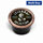 Lavazza Blue Espresso Tierra Coffee Capsules - Pack of 100 for Lavazza Blue Capsule System Coffee Machines