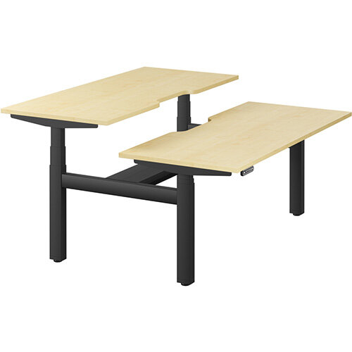 LEAP Electric Height Adjustable Sit Stand Person Back To Back