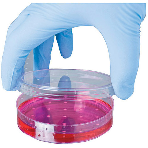 Shield GD19 Large Blue Nitrile Gloves (Pack of 100) - GD19 - L