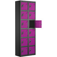 Probe 6 Door Locker Cam Lock ACTIVECOAT W380xD460xH1780mm Nest Of 2 Black Body Lilac Door 7 Year Warranty
