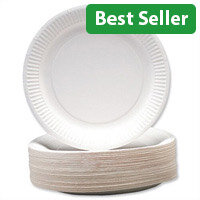 Disposable Recyclable Paper Plates 9inch White (Pack 100) 0511041
