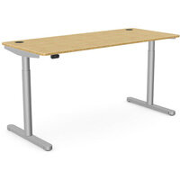 RoundE Electric Dual Motor Height Adjustable Rectangular Sit Stand Desk Portal Top W1600xD700xH645-1145mm Natural Light Bamboo Top Silver Frame 10 Year Warranty