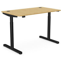 RoundE Electric Dual Motor Height Adjustable Rectangular Sit Stand Desk Portal Top W1200xD700xH645-1145mm Natural Light Bamboo Top Black Frame 10 Year Warranty