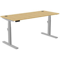 Leap Electric Height Adjustable Rectangular Sit Stand Desk Portal Top W1600xD700xH615-1265mm Natural Light Bamboo Top Silver Frame 10 Year Warranty