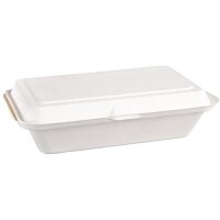 Fiesta Compostable Bagasse Hinged Food Containers 248mm
