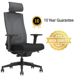PostureX - Black Mesh Ergonomic Office Chair with Headrest - 10 Year Warranty
