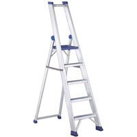 Regina Plus Single Sided Platform Ladder - 3 Step - a durable, multipurpose stepladder solution with non-slip design and easy storage