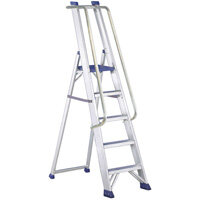 Regina Special Single Sided Platform Ladder with Bodyguard & Handrail - 8 Step - a durable, multipurpose stepladder solution with non-slip design and easy storage