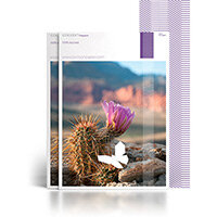 Cocoon Pre-Print 100% Recycled Fsc8 SRA1 640 X 900mm 80gsm Untrimmed Commercial Printing Paper Ream of 500 Cocoon Pre-Print 100% Recycled Fsc8 SRA1 640 X 900mm 80gsm Untrimmed Commercial Printing Paper Ream of 500