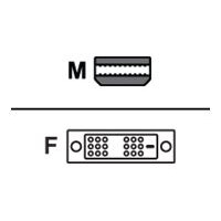 AMD - DisplayPort adapter - Mini DisplayPort (M) to DVI-D (F) AMD - DisplayPort adapter - Mini DisplayPort (M) to DVI-D (F)