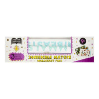 Help With Homework Wallcharts Pack of  3 Nature 9+ Science Education