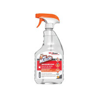Mr Muscle Washroom Cleaner 750ml