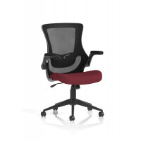 Orbit Black Mesh Back Chair Bespoke Colour Seat Ginseng Chilli