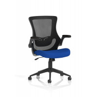 Orbit Black Mesh Back Chair Bespoke Colour Seat Stevia Blue