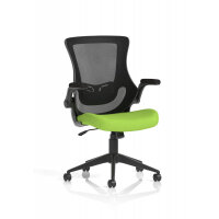 Orbit Black Mesh Back Chair Bespoke Colour Seat Myrrh Green