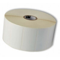 Zebra PolyPro 3000T Gloss White Polypropylene Thermal Transfer Labels - 102 × 152 mm, Permanent Acrylic Adhesive, 533 Labels per Roll, 4 Rolls per Box