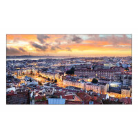 Samsung VH55C-E LCD Indoor 55"