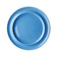 Olympia Heritage Blue Raised Rim Plate - 254mm 10" (Box 4)