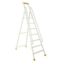 Aluminium 10 Tread Eurostep Double Handrail Steps Platform Height 2.2M Capacity 150Kg 315411 Aluminium 10 Tread Eurostep Double Handrail Steps Platform Height 2.2M Capacity 150Kg 315411