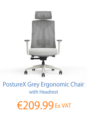 PostureX Grey with Headrest