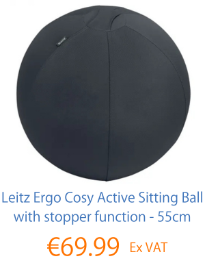 Leitz Active Sitting Ball Black
