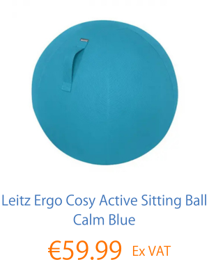 Leitz Ergo Cosy Active Sitting Ball Blue
